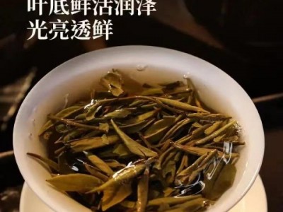 福建白茶寿眉、白牡丹、贡眉批发80元起图2