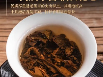 批发云南普洱茶80元/饼起图4